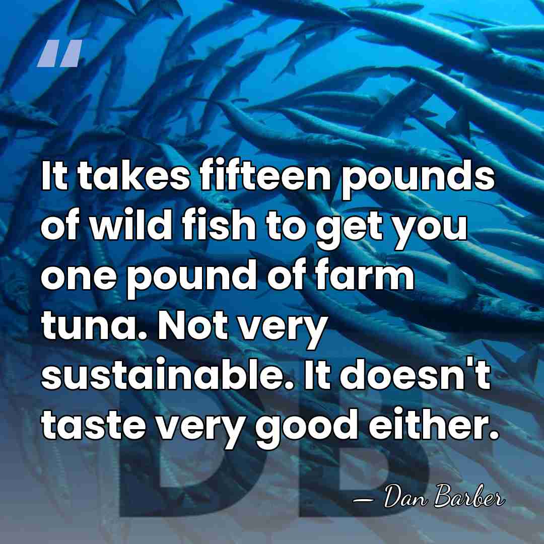 It takes fifteen pounds of wild fish to get you one pound&hellip; - Dan Barber