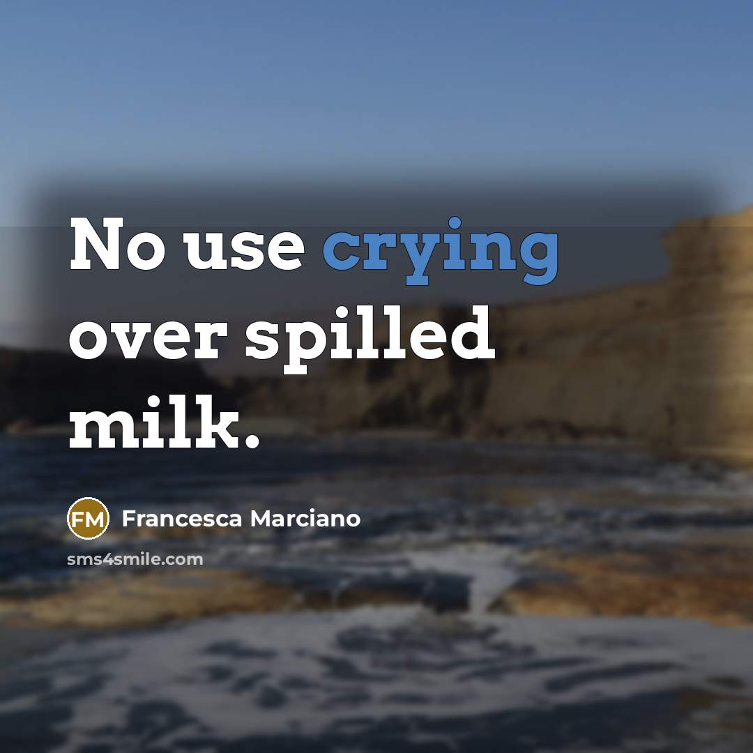 “No use crying over spilled milk.…” quote by Francesca Marciano
