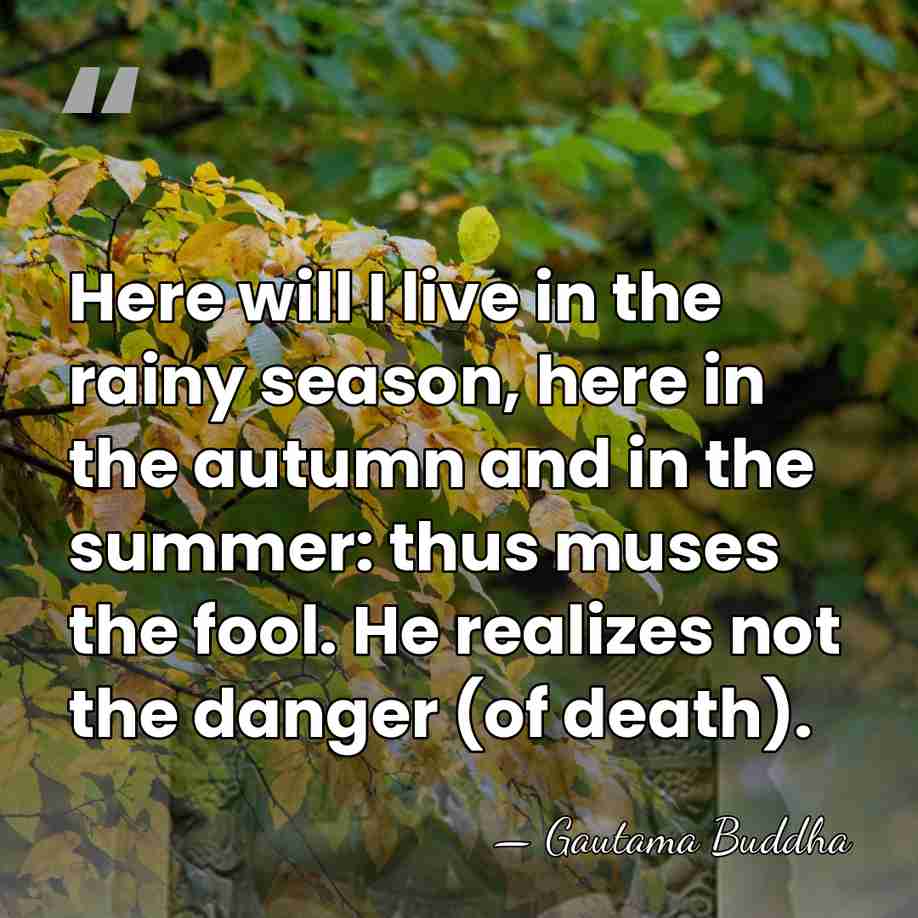 Here will I live in the rainy season, here in the autumn&hellip; - Gautama Buddha