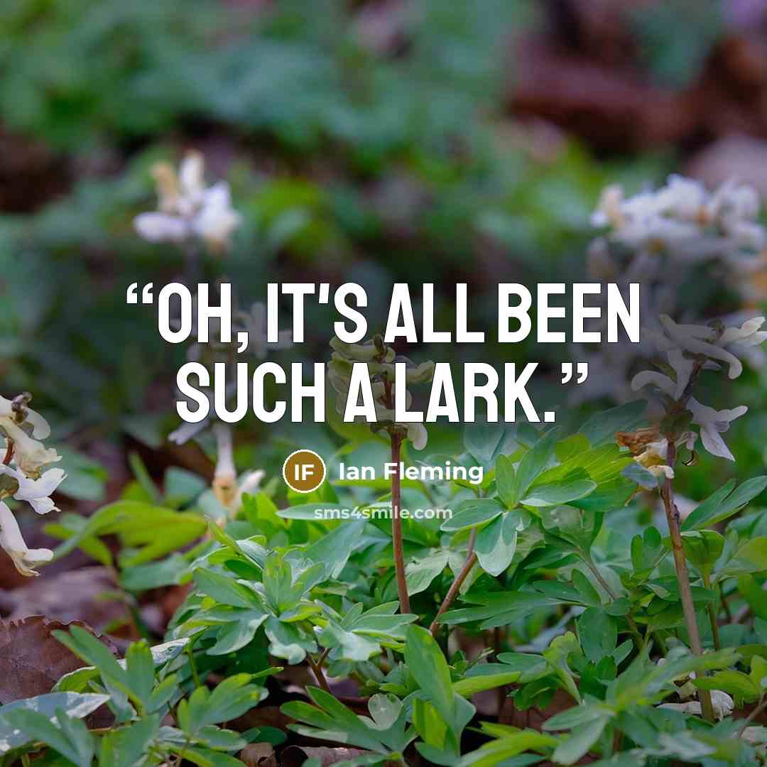 “Oh, it's all been such a lark.” quote by Ian Fleming