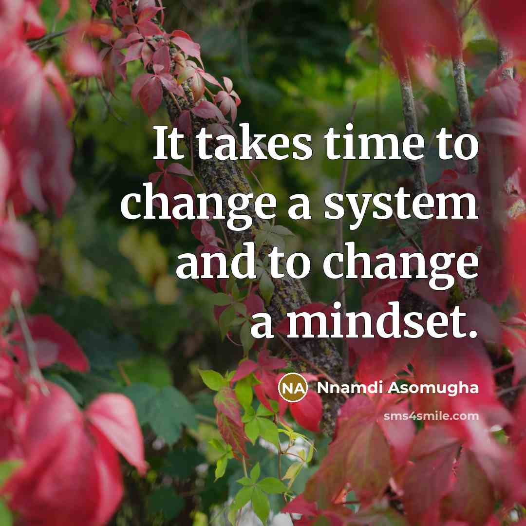 “It takes time to change a system and to change…” quote by Nnamdi Asomugha