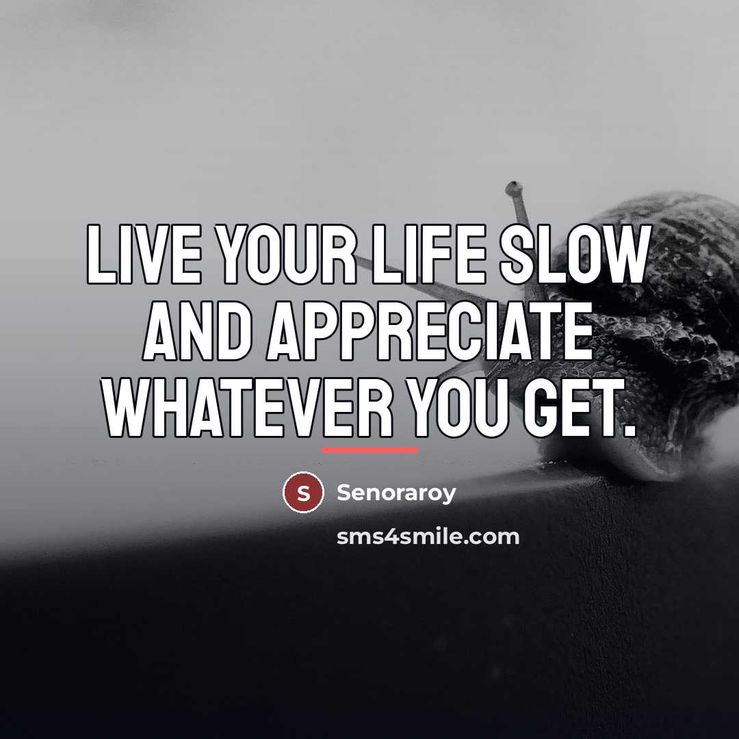 “Live your life slow and appreciate whatever you get.…” quote by Senoraroy