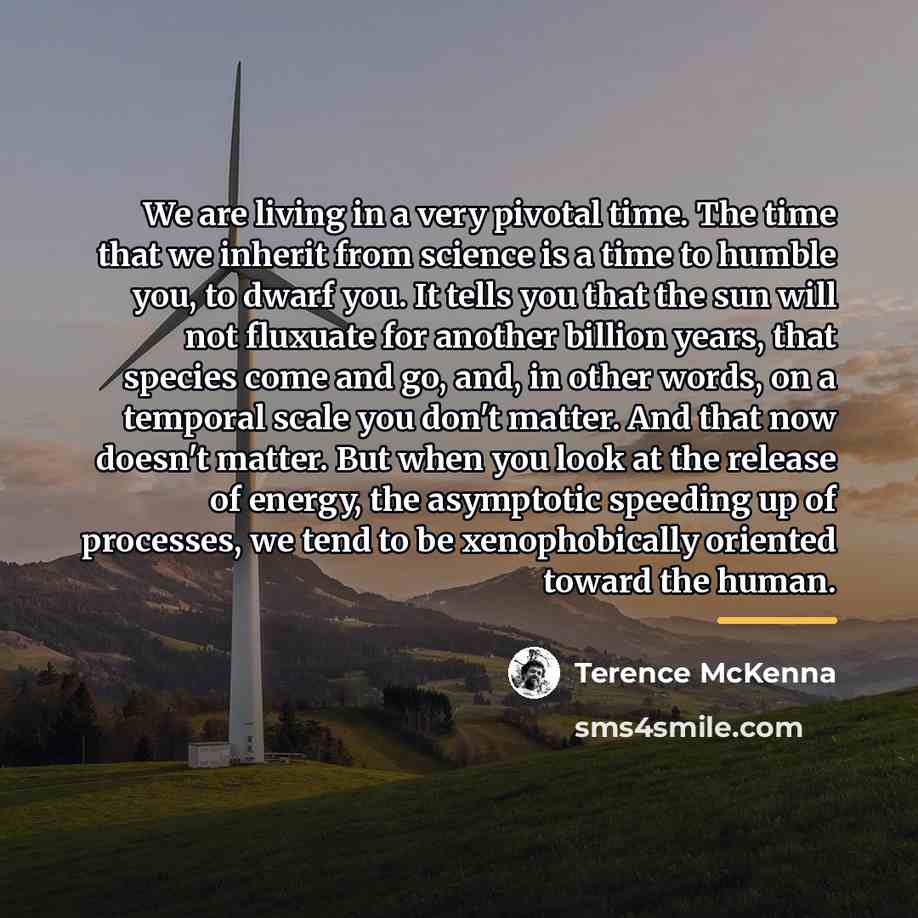 “We are living in a very pivotal time. The time…” quote by Terence McKenna