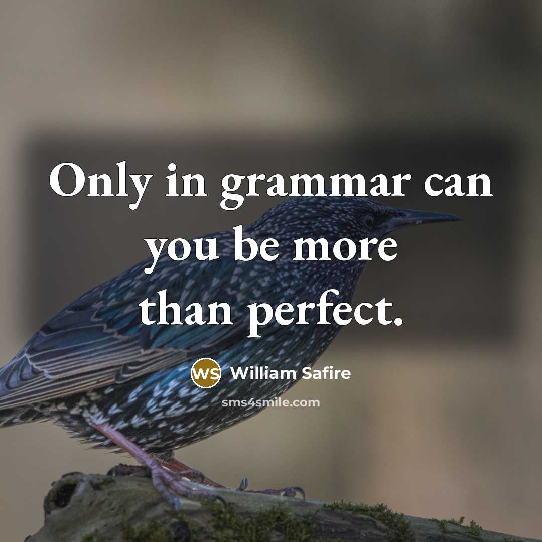 “Only in grammar can you be more than perfect.…” quote by William Safire