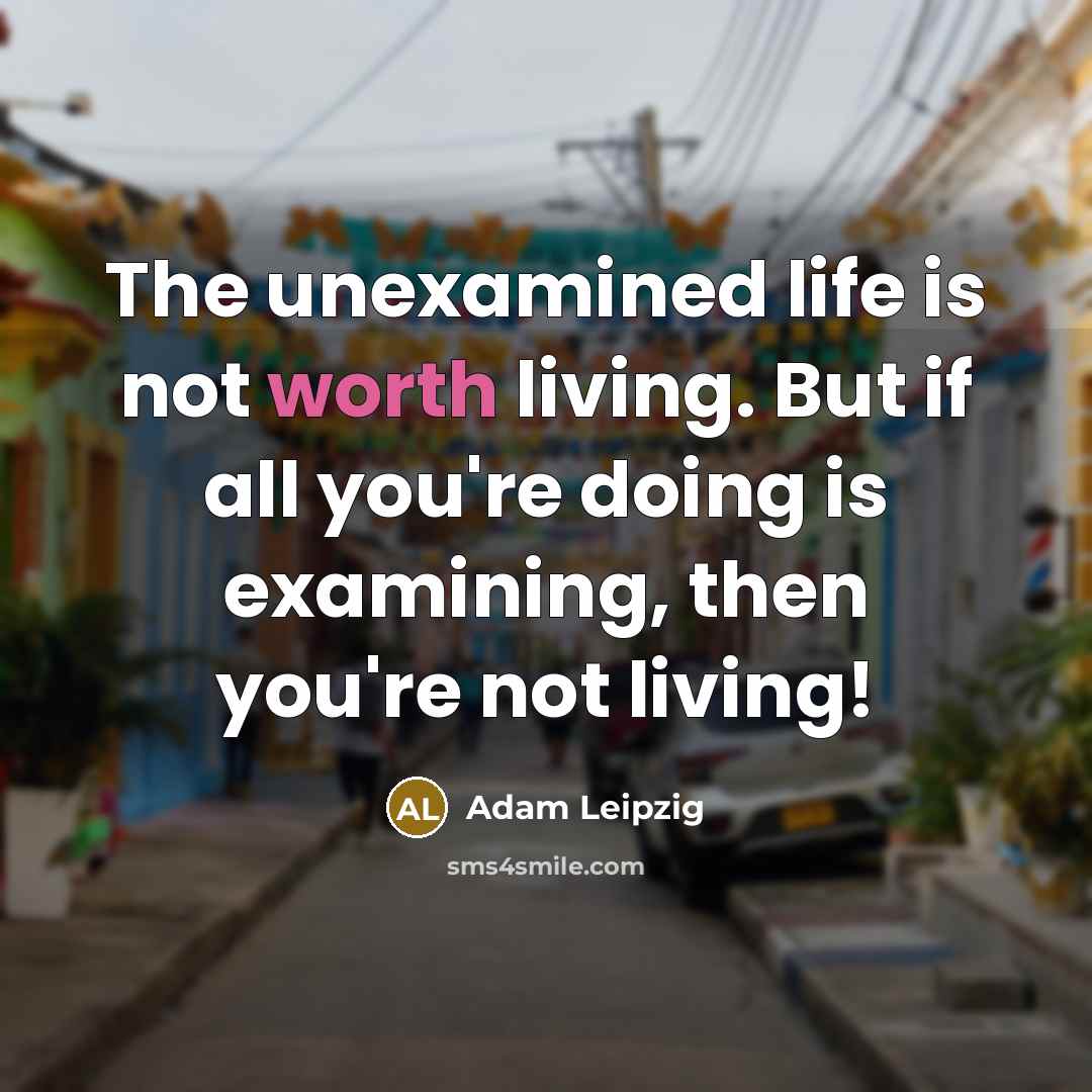 “The unexamined life is not worth living. But if all…” quote by Adam Leipzig