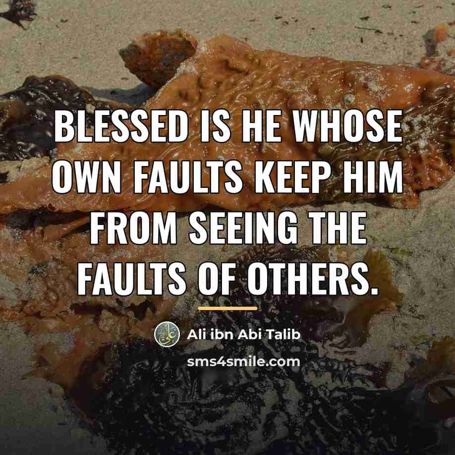 “Blessed is he whose own faults keep him from seeing…” quote by Ali ibn Abi Talib