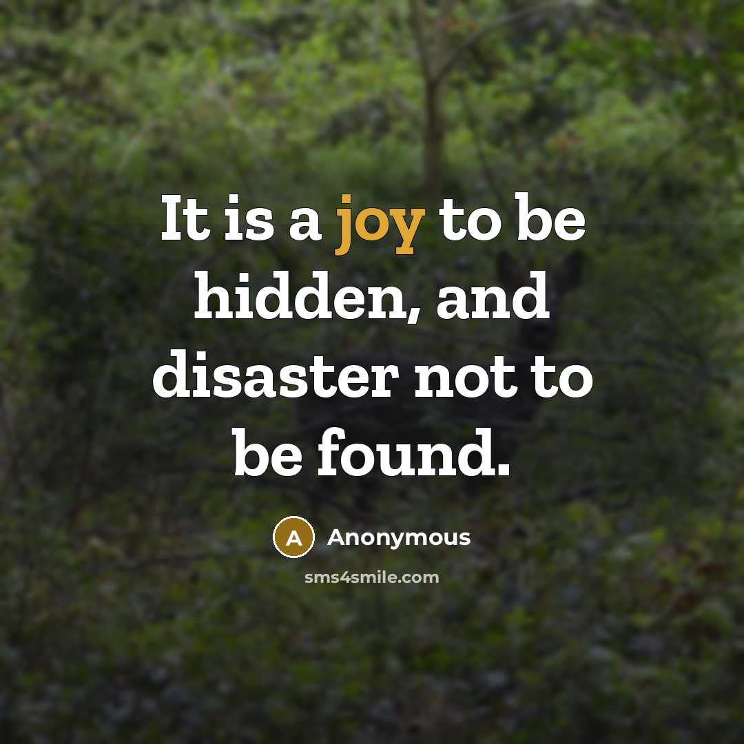 “It is a joy to be hidden, and disaster not…” quote by Anonymous