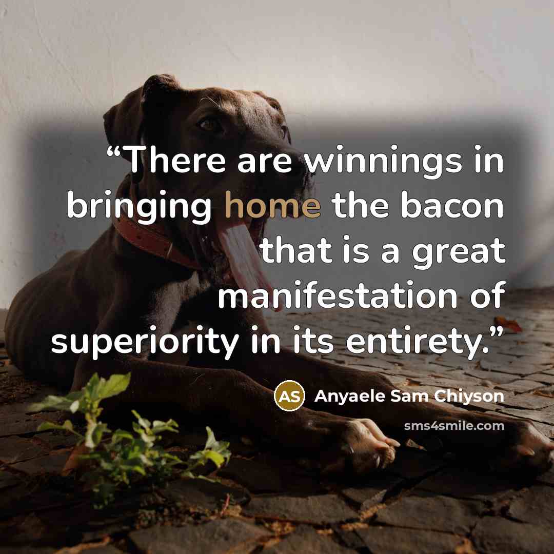 “There are winnings in bringing home the bacon that is a great manifestation of superiority in its entirety.” quote by Anyaele Sam Chiyson