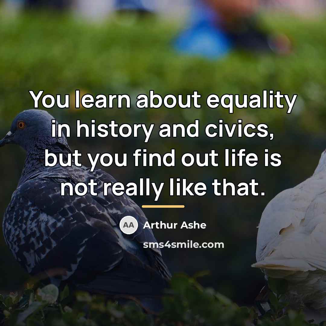 “You learn about equality in history and civics, but you…” quote by Arthur Ashe