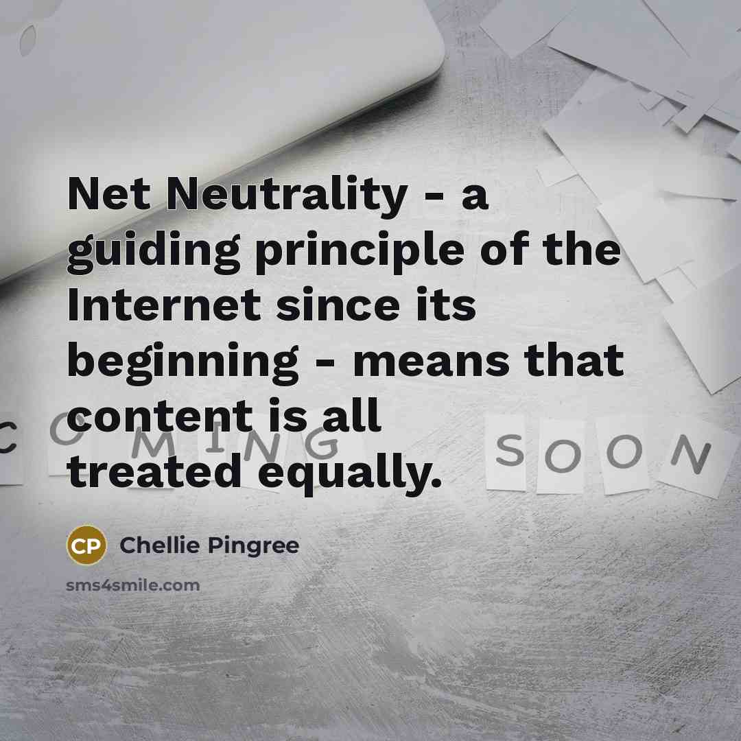 “Net Neutrality - a guiding principle of the Internet since…” quote by Chellie Pingree