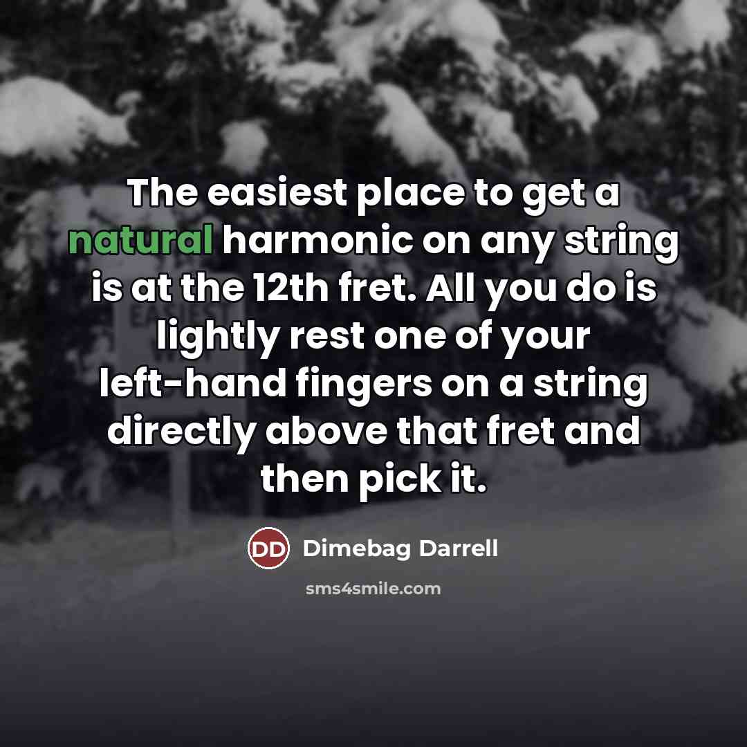 “The easiest place to get a natural harmonic on any…” quote by Dimebag Darrell
