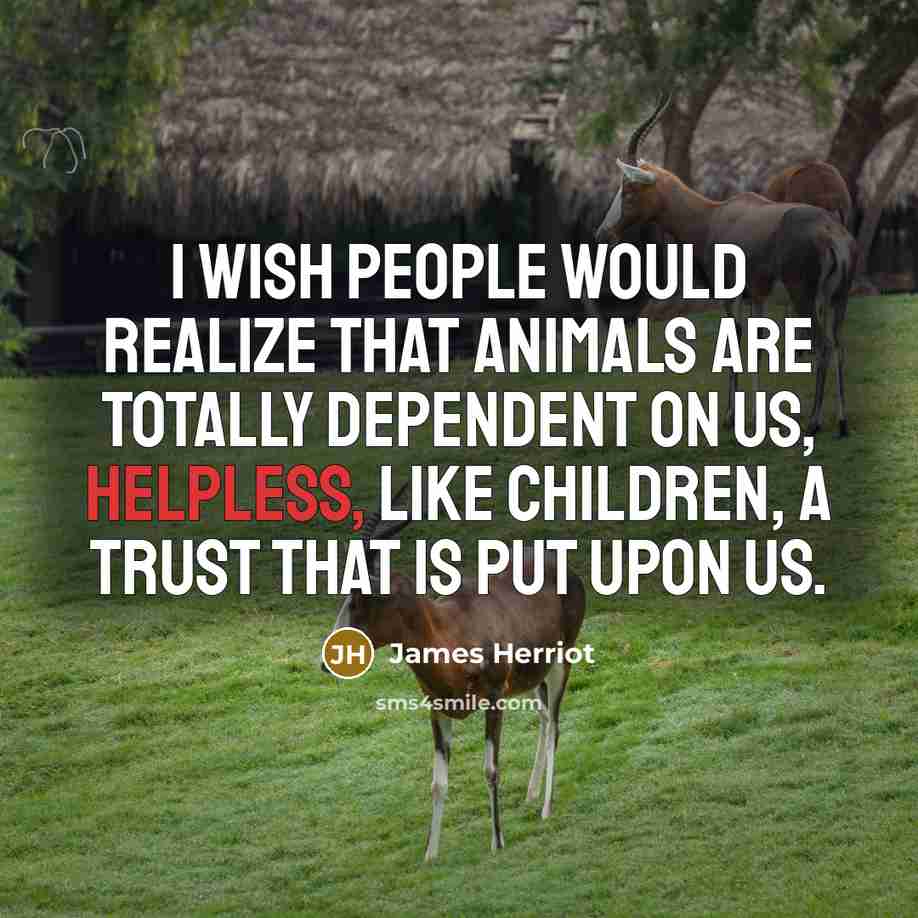 “I wish people would realize that animals are totally dependent…” quote by James Herriot