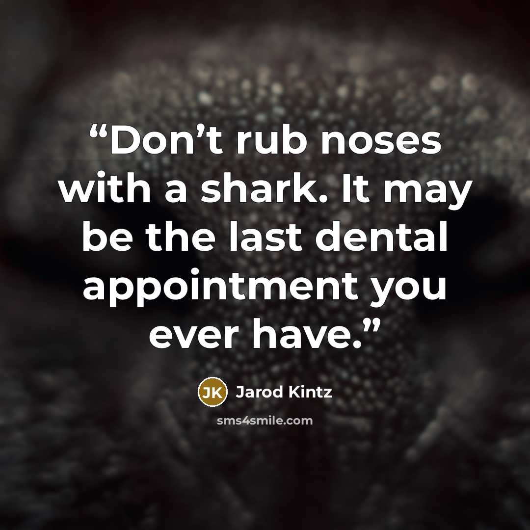 “Don’t rub noses with a shark. It may be the last dental appointment you ever have.” quote by Jarod Kintz