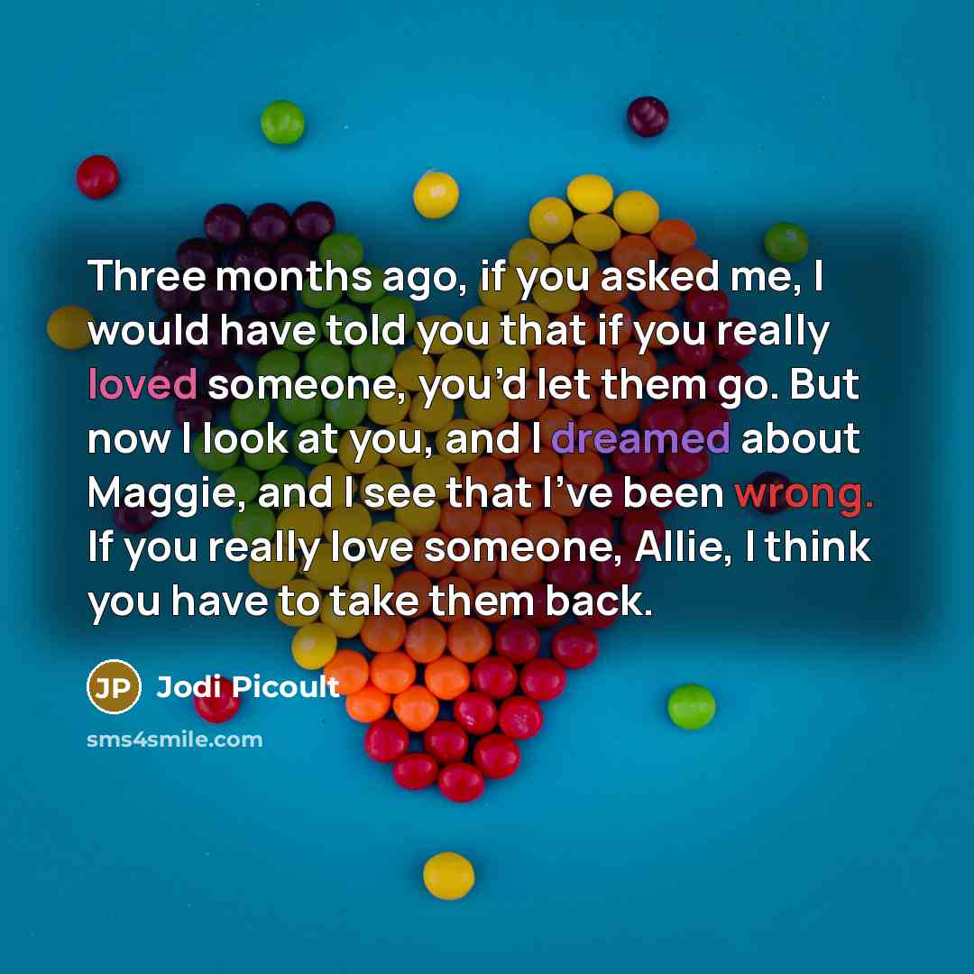 “Three months ago, if you asked me, I would have told you that if you really loved someone, you’d let them go. But now I look at you, and I dreamed about Maggie, and I see that I’ve been wrong. If you really love someone, Allie, I think you have to take them back.” quote by Jodi Picoult