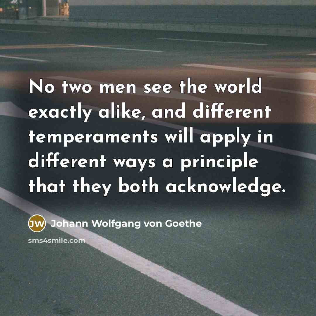 “No two men see the world exactly alike, and different…” quote by Johann Wolfgang von Goethe