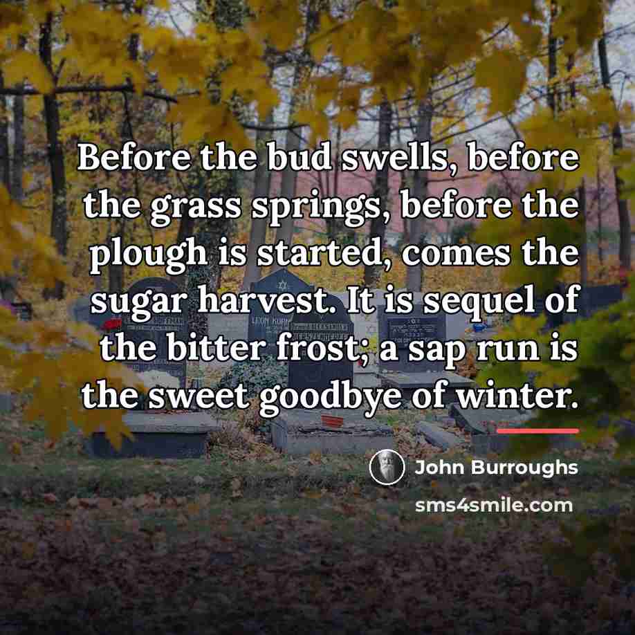 “Before the bud swells, before the grass springs, before the…” quote by John Burroughs