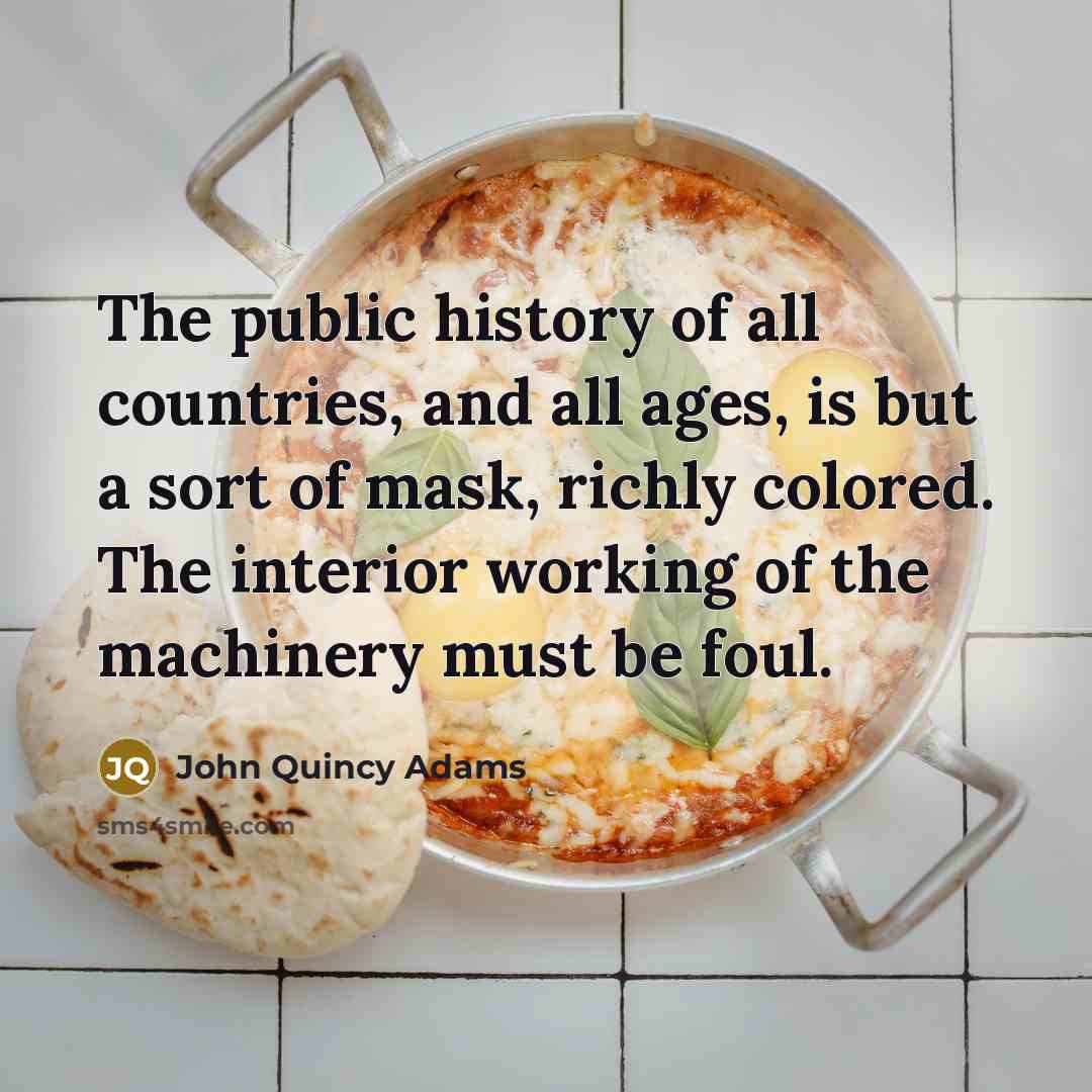 “The public history of all countries, and all ages, is…” quote by John Quincy Adams