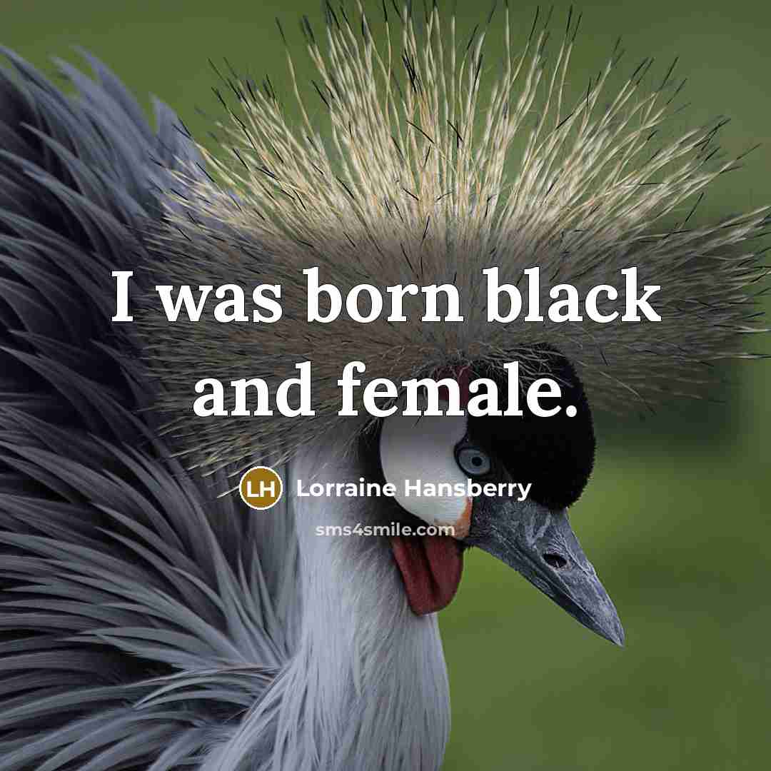“I was born black and female.…” quote by Lorraine Hansberry