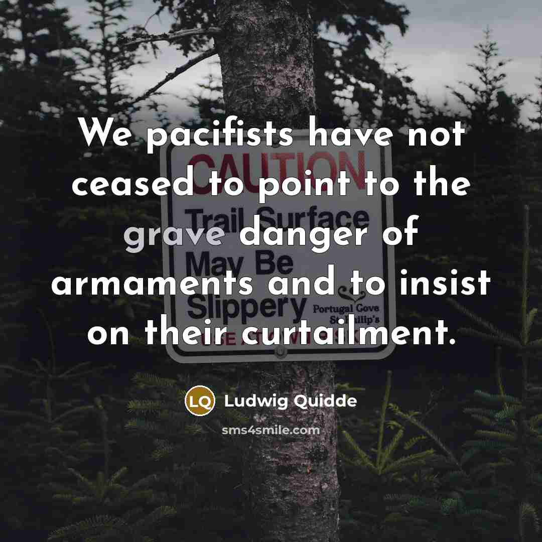 “We pacifists have not ceased to point to the grave…” quote by Ludwig Quidde
