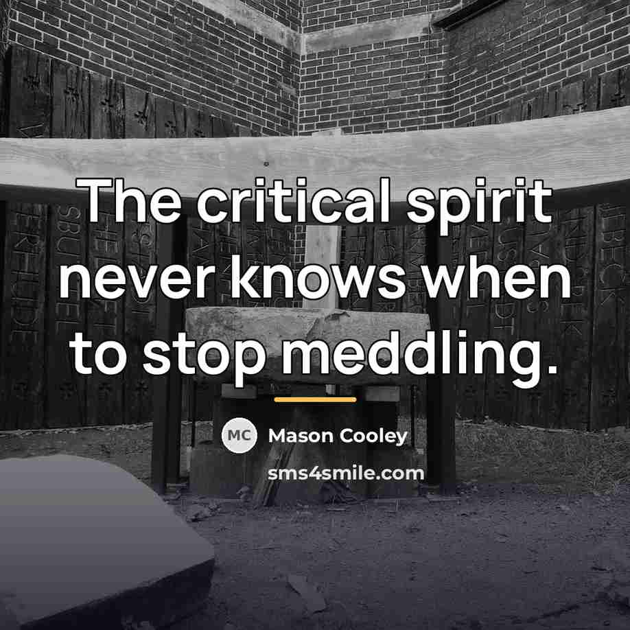 “The critical spirit never knows when to stop meddling.…” quote by Mason Cooley