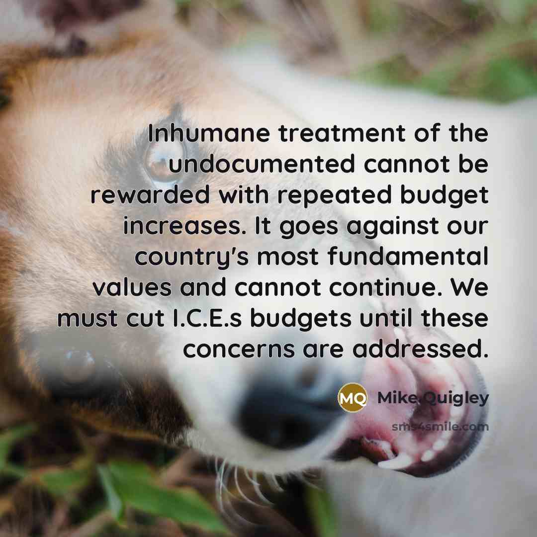 “Inhumane treatment of the undocumented cannot be rewarded with repeated…” quote by Mike Quigley