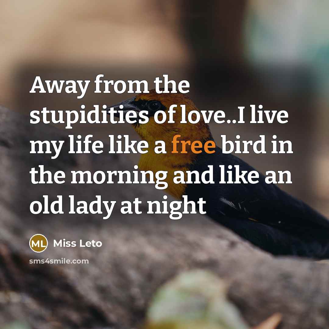 “Away from the stupidities of love..I live my life like a free bird in the morning and like an old lady at night” quote by Miss Leto