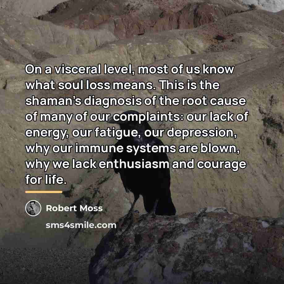 “On a visceral level, most of us know what soul…” quote by Robert Moss