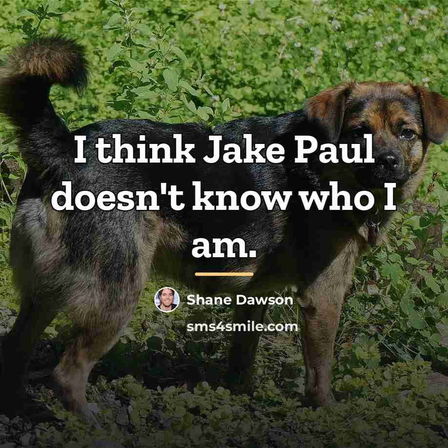 “I think Jake Paul doesn't know who I am.…” quote by Shane Dawson
