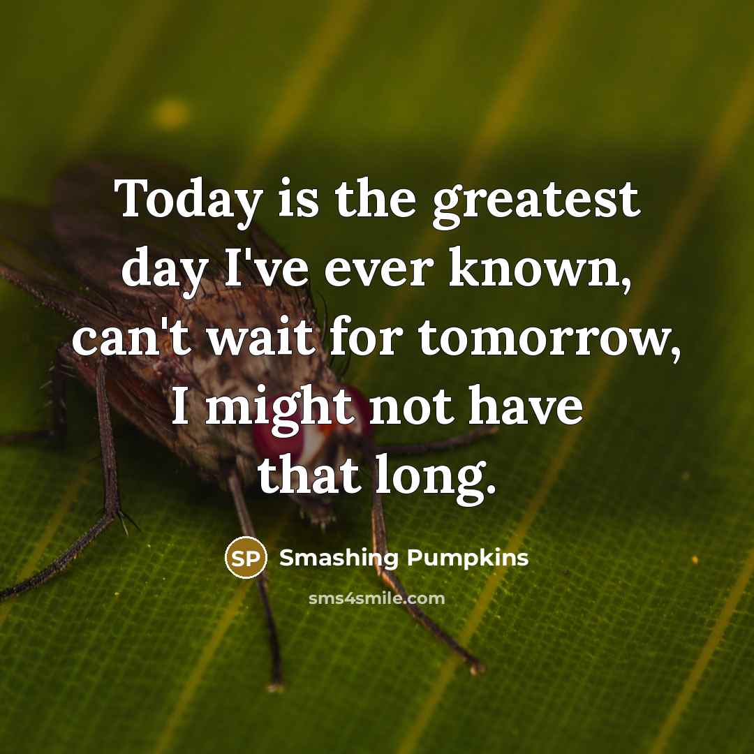 “Today is the greatest day I've ever known, can't wait…” quote by Smashing Pumpkins
