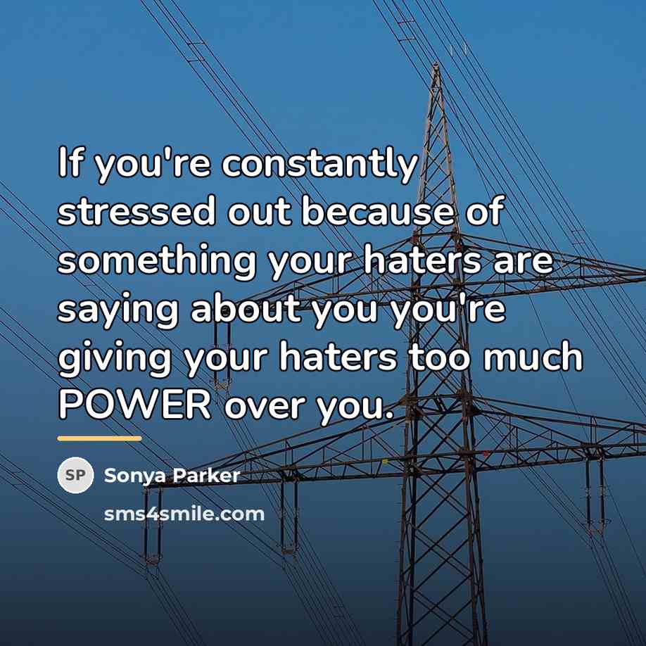 “If you're constantly stressed out because of something your haters…” quote by Sonya Parker
