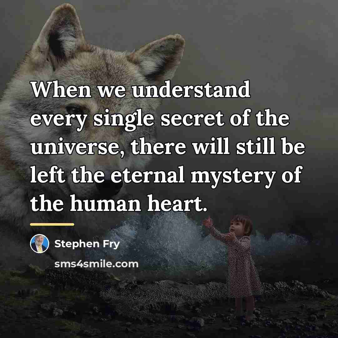 “When we understand every single secret of the universe, there…” quote by Stephen Fry