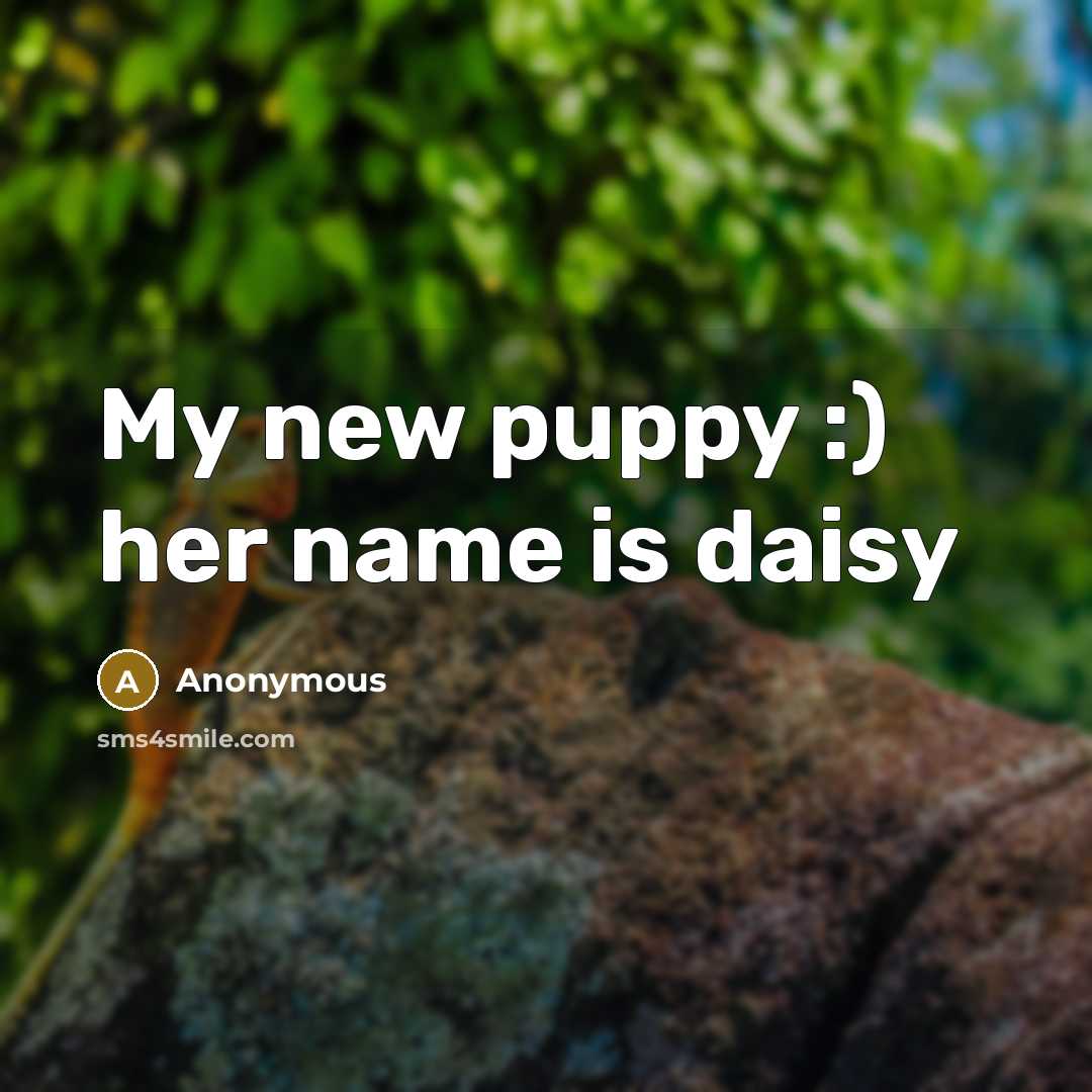 “My new puppy :) her name is daisy” quote by Anonymous