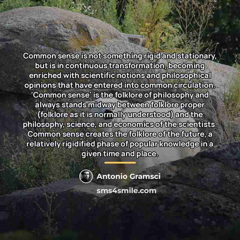 “Common sense is not something rigid and stationary, but is…” quote by Antonio Gramsci
