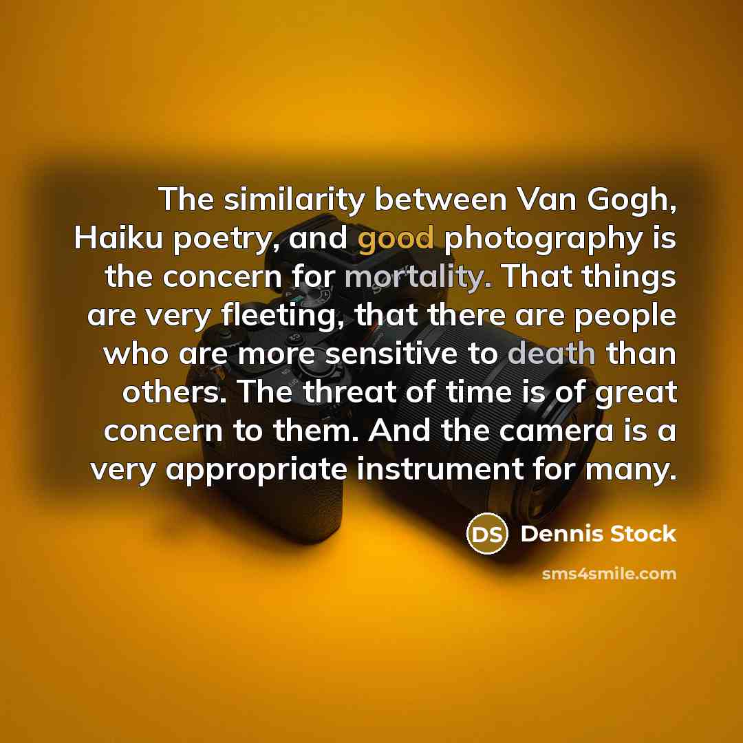 “The similarity between Van Gogh, Haiku poetry, and good photography…” quote by Dennis Stock