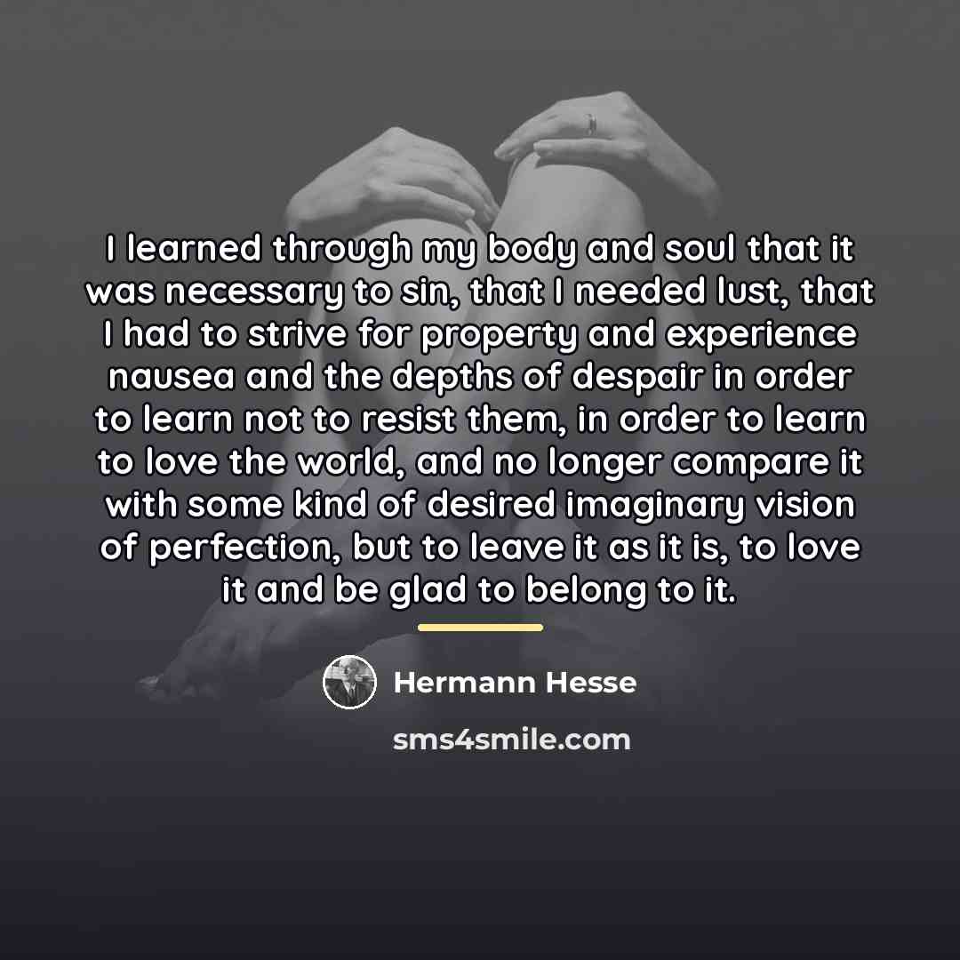 “I learned through my body and soul that it was…” quote by Hermann Hesse