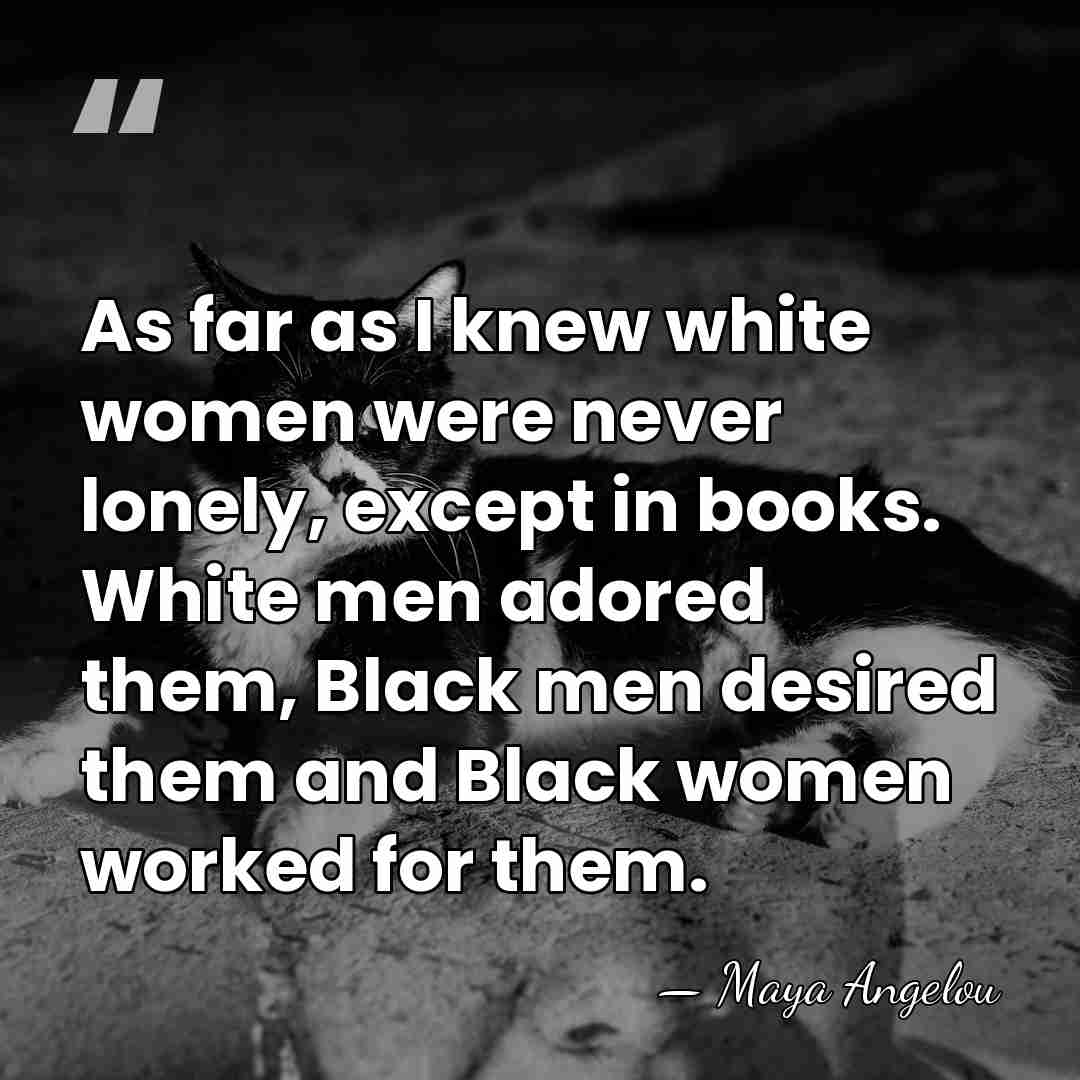 As far as I knew white women were never lonely, except in&hellip; - Maya Angelou