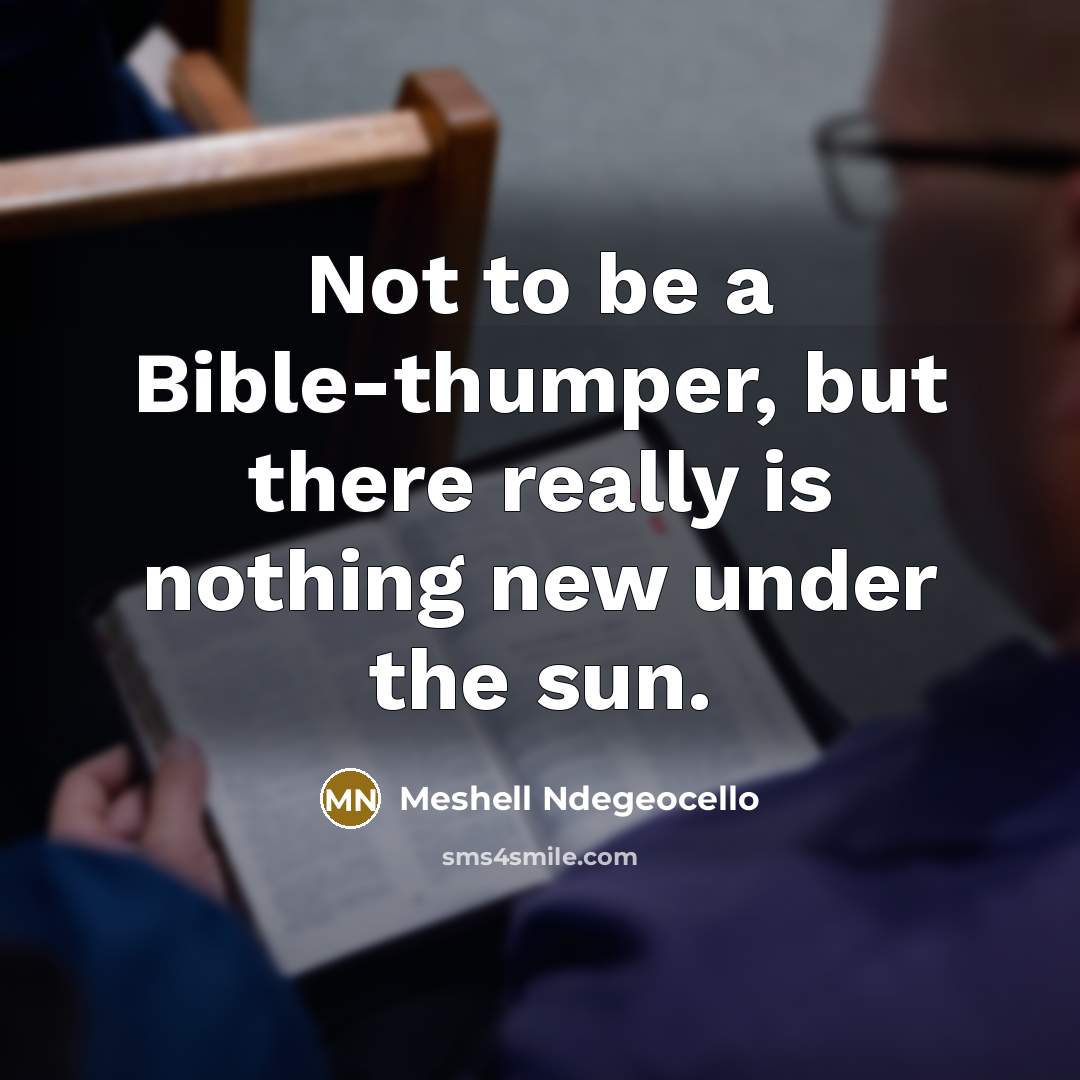 “Not to be a Bible-thumper, but there really is nothing…” quote by Meshell Ndegeocello