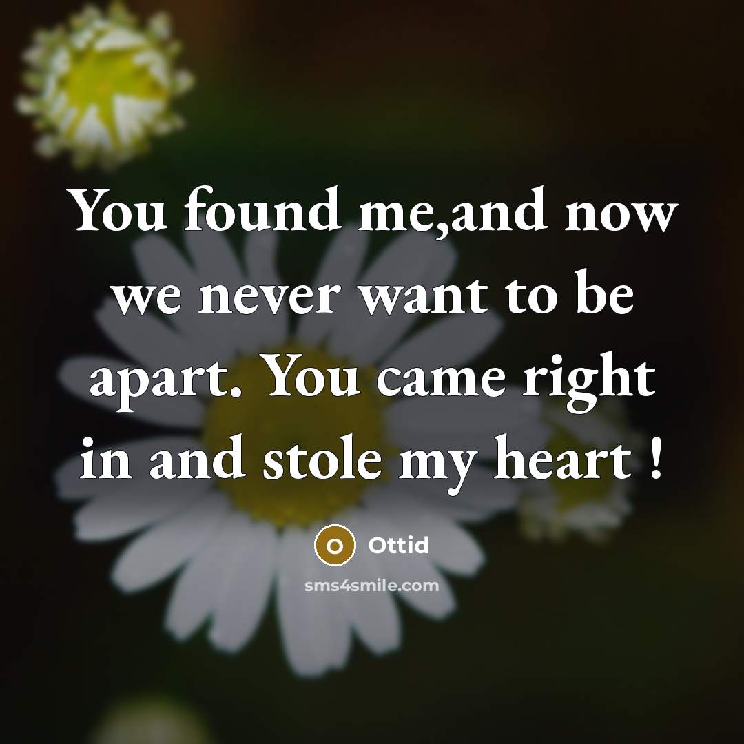 “You found me,and now we never want to be apart.…” quote by Ottid