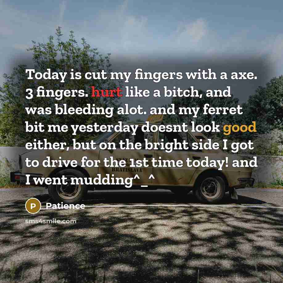 “Today is cut my fingers with a axe. 3 fingers.…” quote by Patience