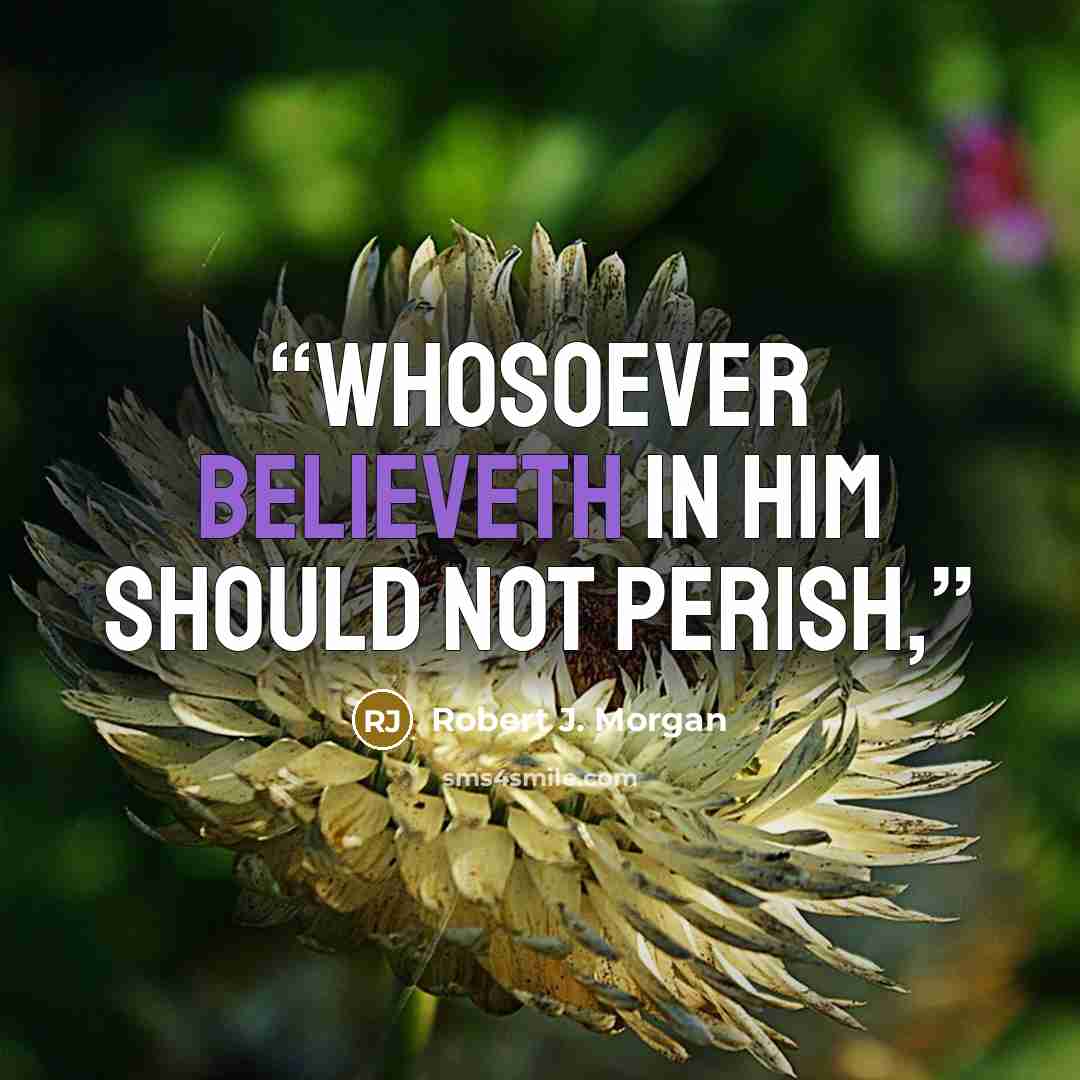 “Whosoever believeth in him should not perish,” quote by Robert J. Morgan