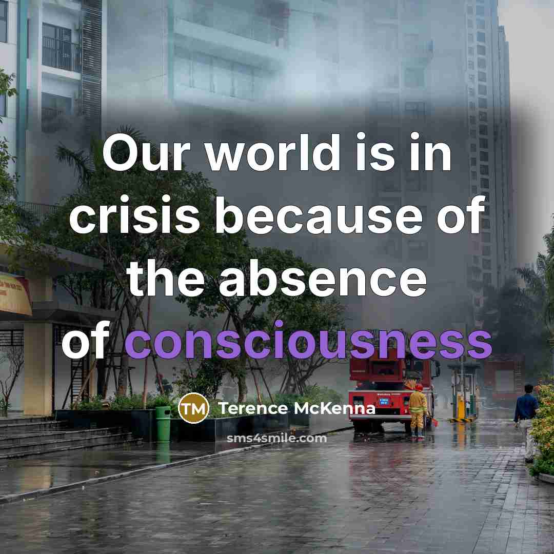“Our world is in crisis because of the absence of…” quote by Terence McKenna