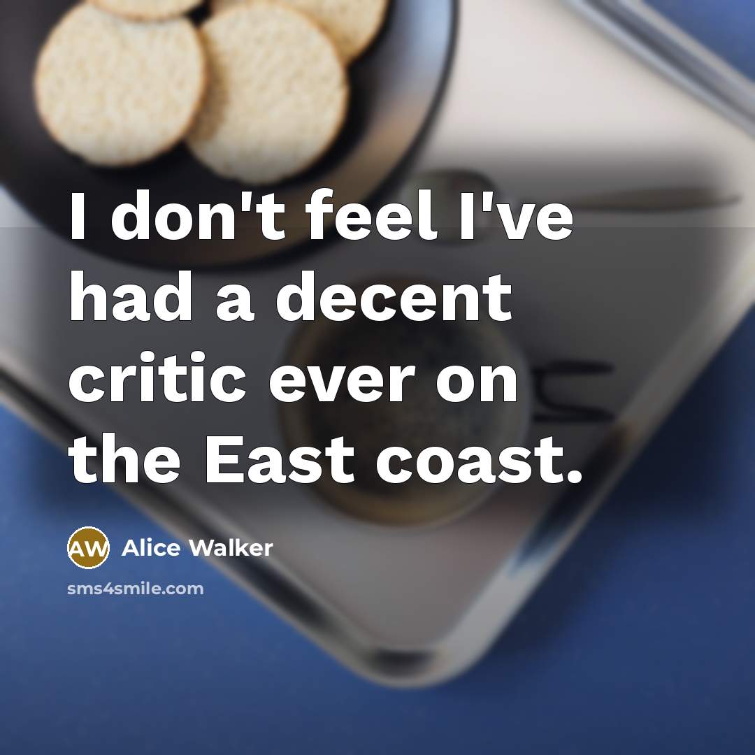 “I don't feel I've had a decent critic ever on…” quote by Alice Walker