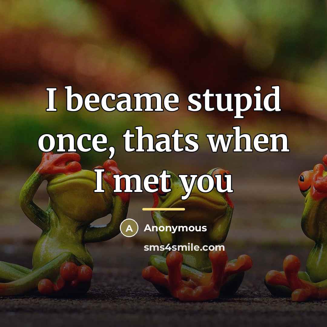 “I became stupid once, thats when I met you…” quote by Anonymous