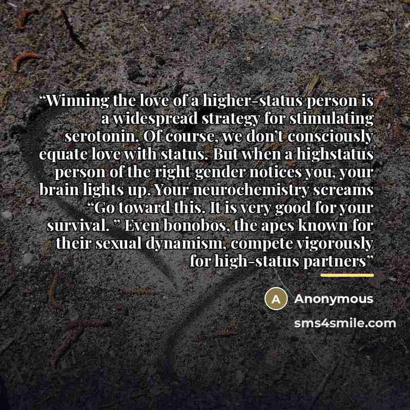 “Winning the love of a higher-status person is a widespread strategy for stimulating serotonin. Of course, we don’t consciously equate love with status. But when a highstatus person of the right gender notices you, your brain lights up. Your neurochemistry screams “Go toward this. It is very good…” quote by Anonymous