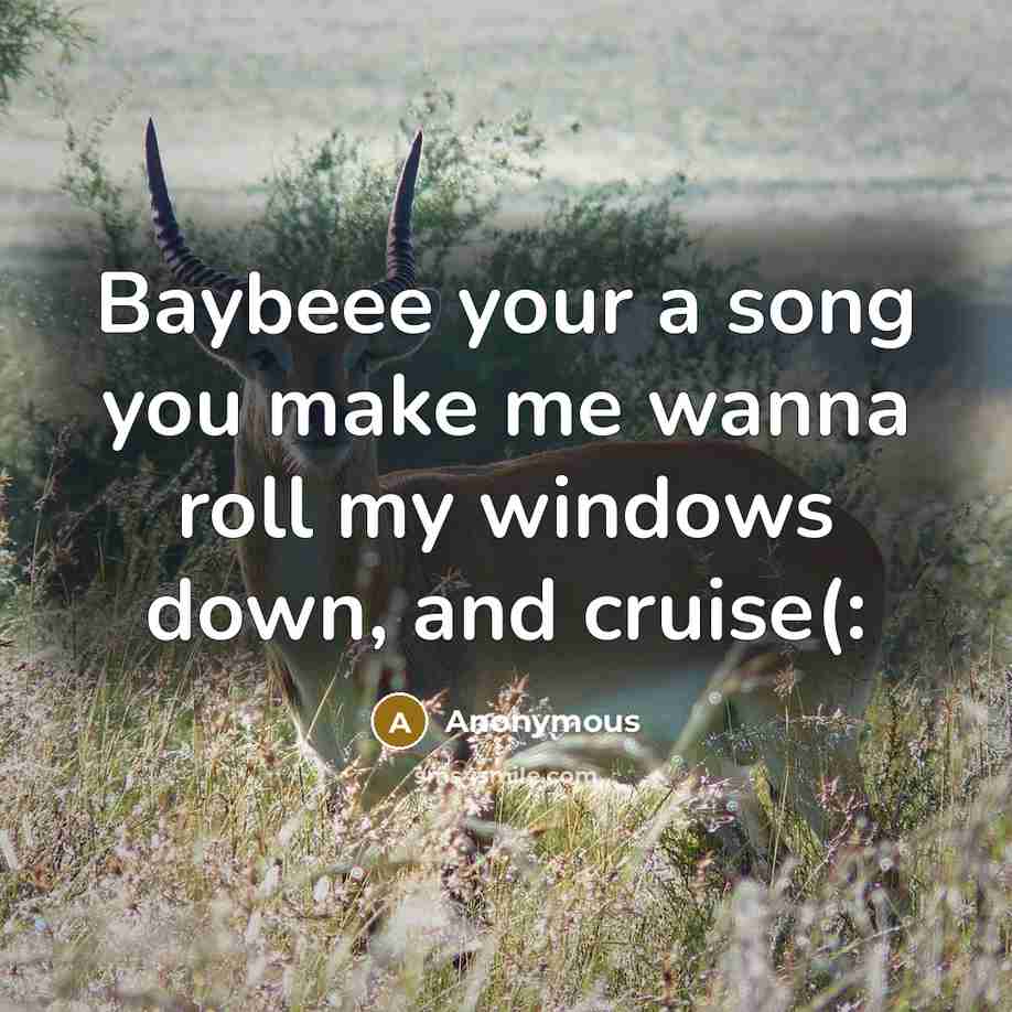 “Baybeee your a song you make me wanna roll my windows down, and cruise(:” quote by Anonymous