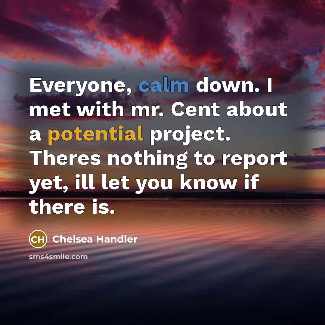 “Everyone, calm down. I met with mr. Cent about a potential project. Theres nothing to report yet, ill let you know if there is.” quote by Chelsea Handler