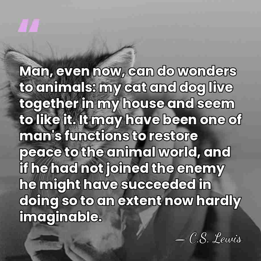 Man, even now, can do wonders to animals: my cat and dog&hellip; - C.S. Lewis