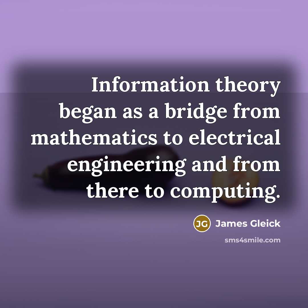 “Information theory began as a bridge from mathematics to electrical…” quote by James Gleick