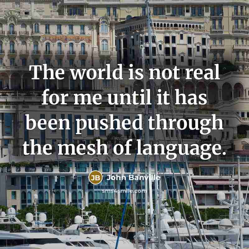 “The world is not real for me until it has…” quote by John Banville