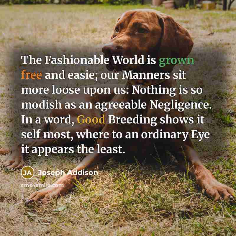 “The Fashionable World is grown free and easie; our Manners…” quote by Joseph Addison